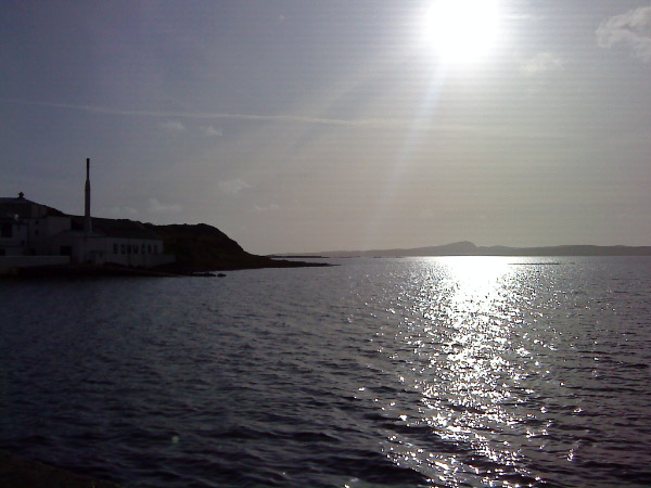 DSC00384