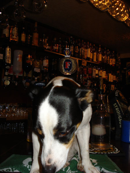 01.10.07 Schottland 054